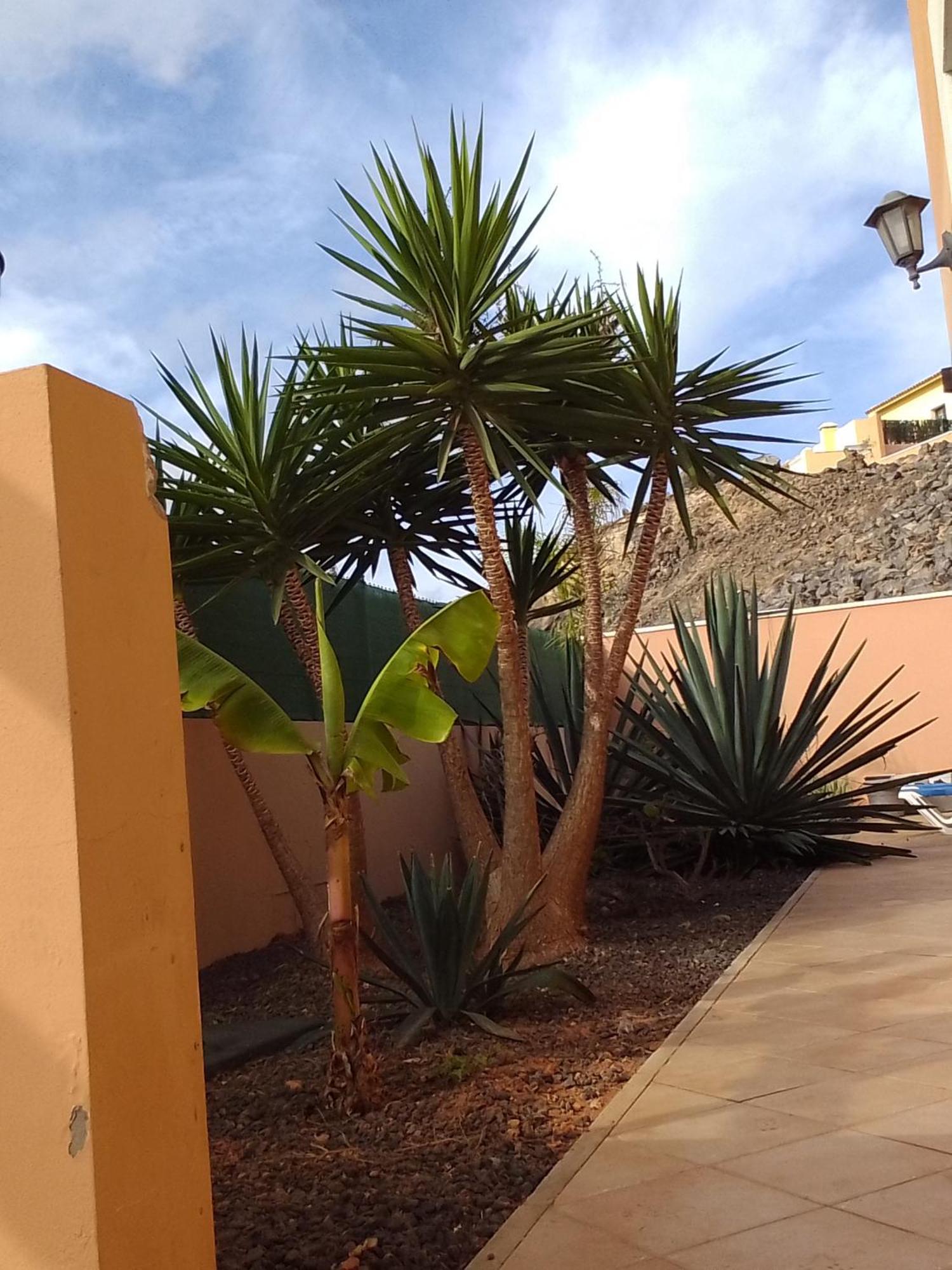 A Casa Di Ilaria Vandrehjem Corralejo Eksteriør billede
